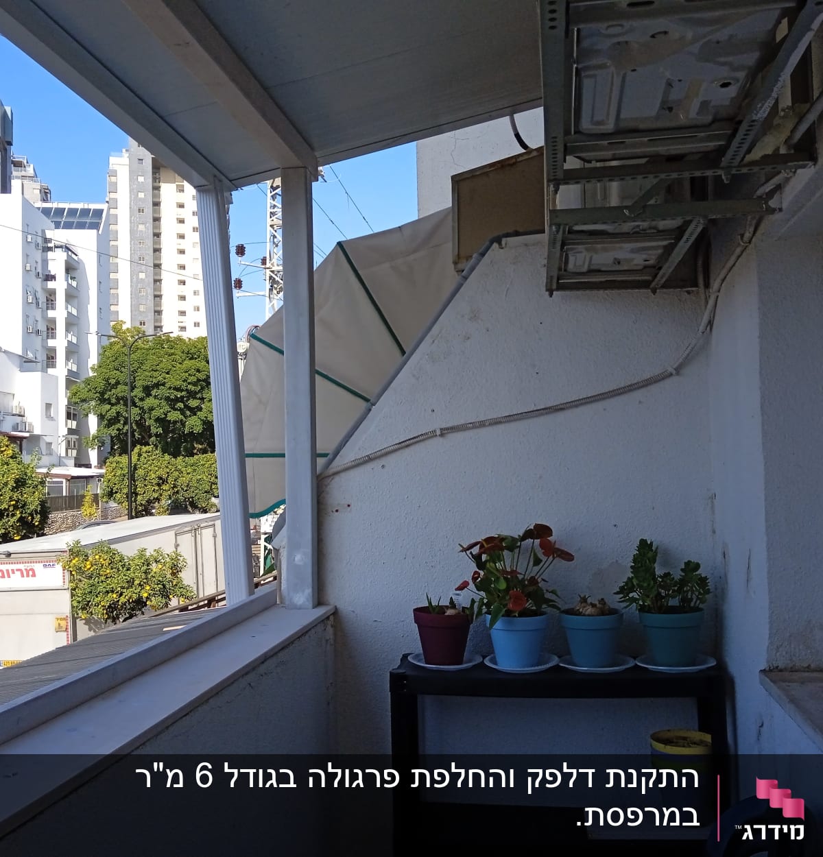 עציצים על מדף במרפסת עם צמחים ירוקים ופרחים